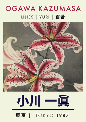 Lilies II