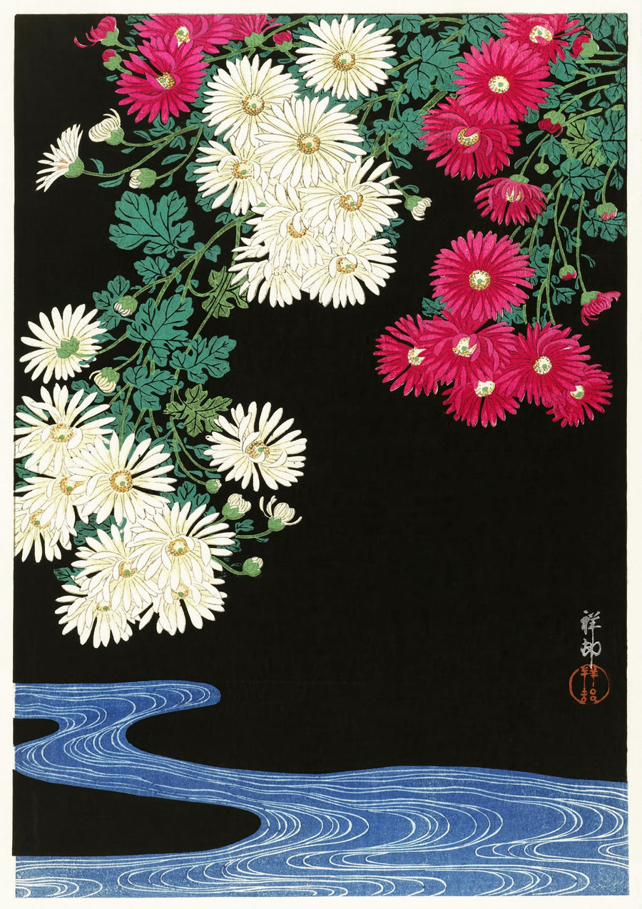 Chrysanten - Print only