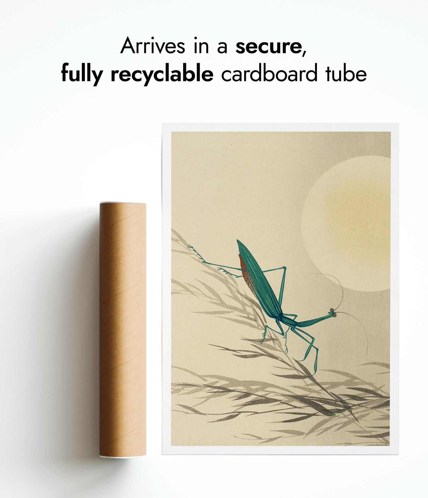 Mante religieuse & Pleine lune