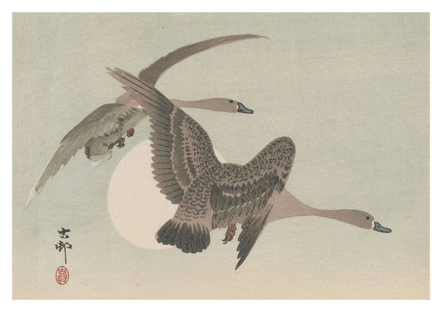 Zwei Gänse im Flug & Vollmond - Print only
