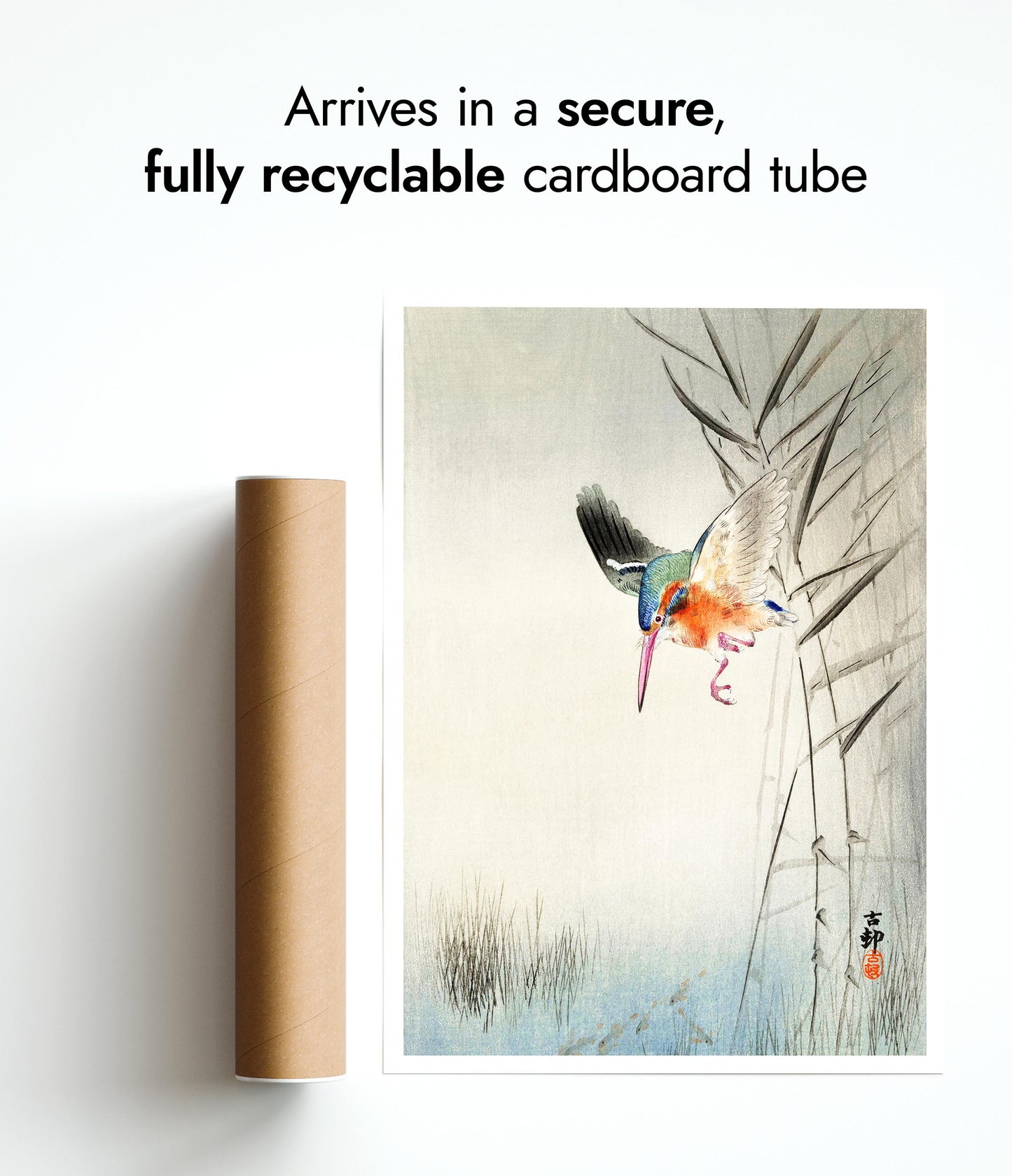 Kungsfiskare som jagar fisk i vattnet