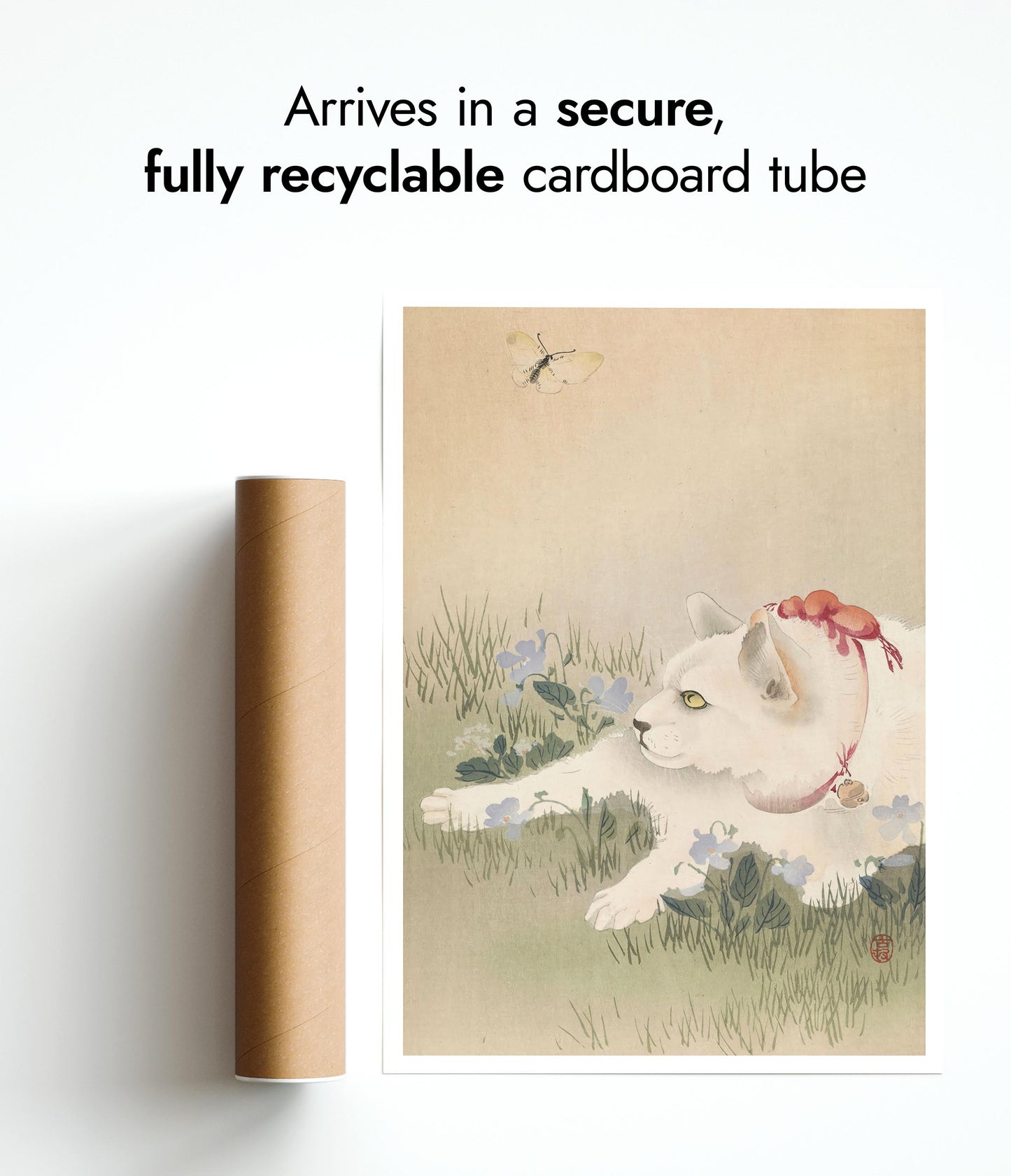 Katze & Schmetterling