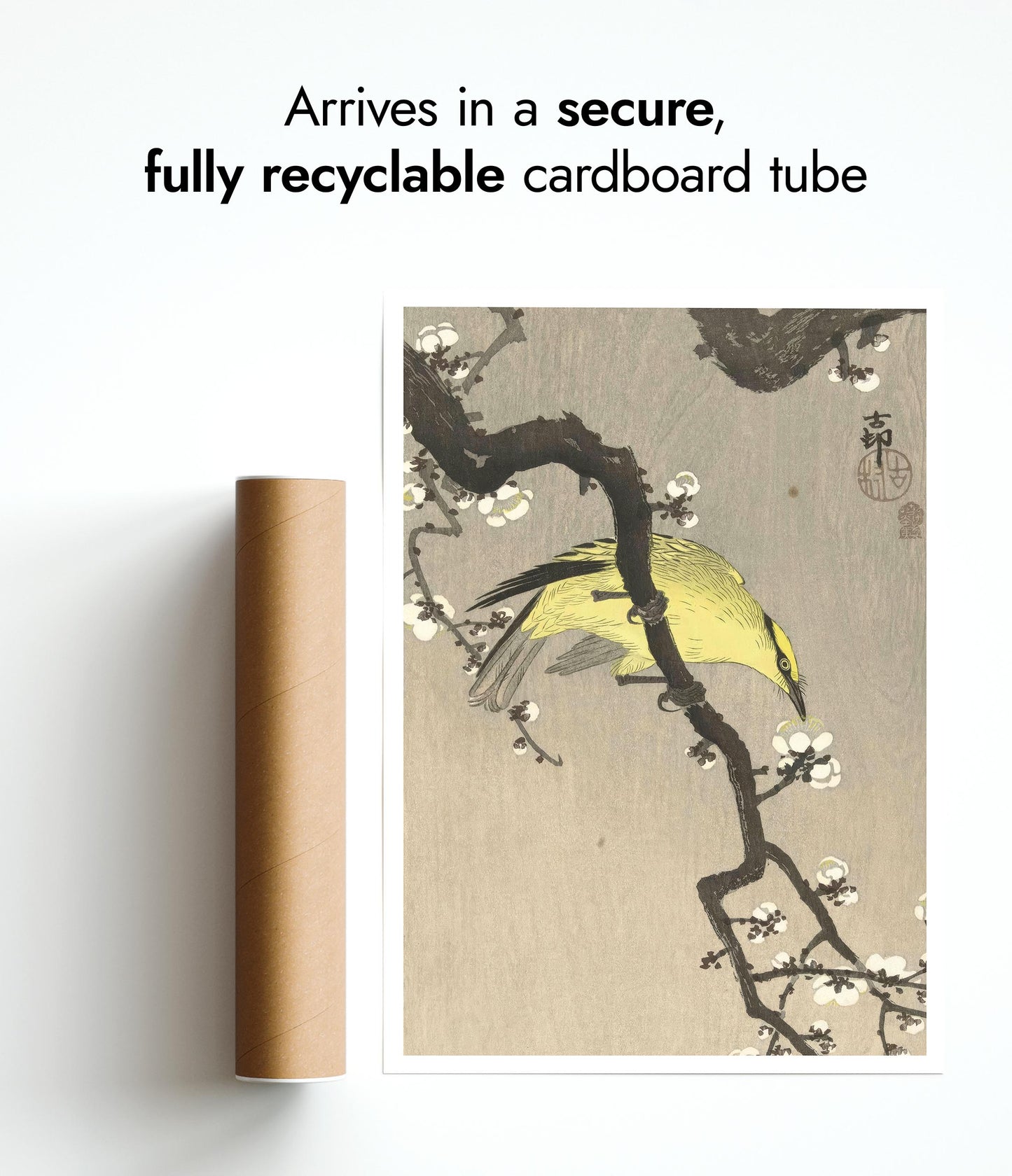 Chinese Oriole on Plum Blossom Branch