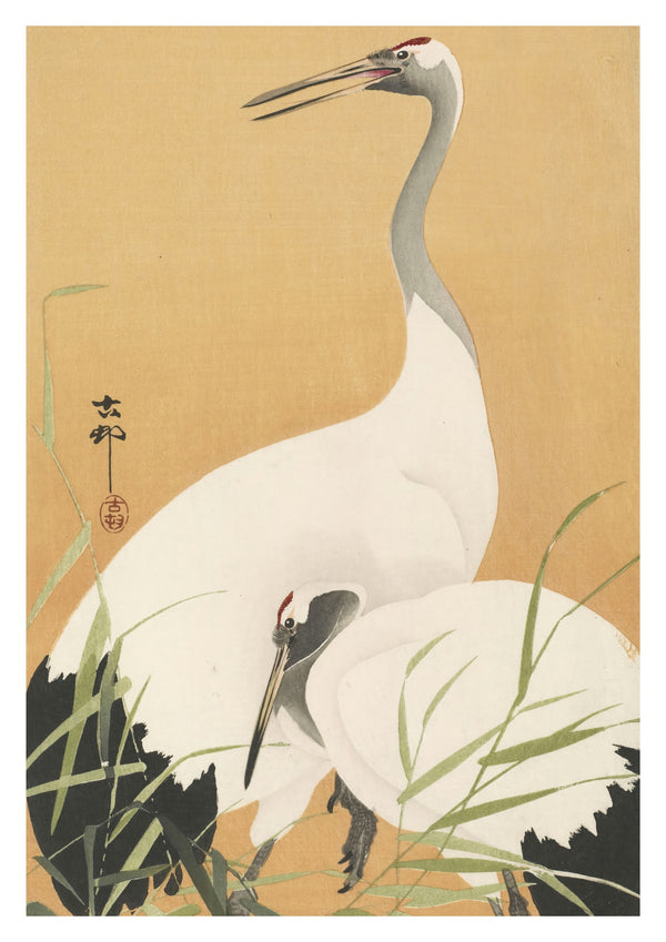 Cranes