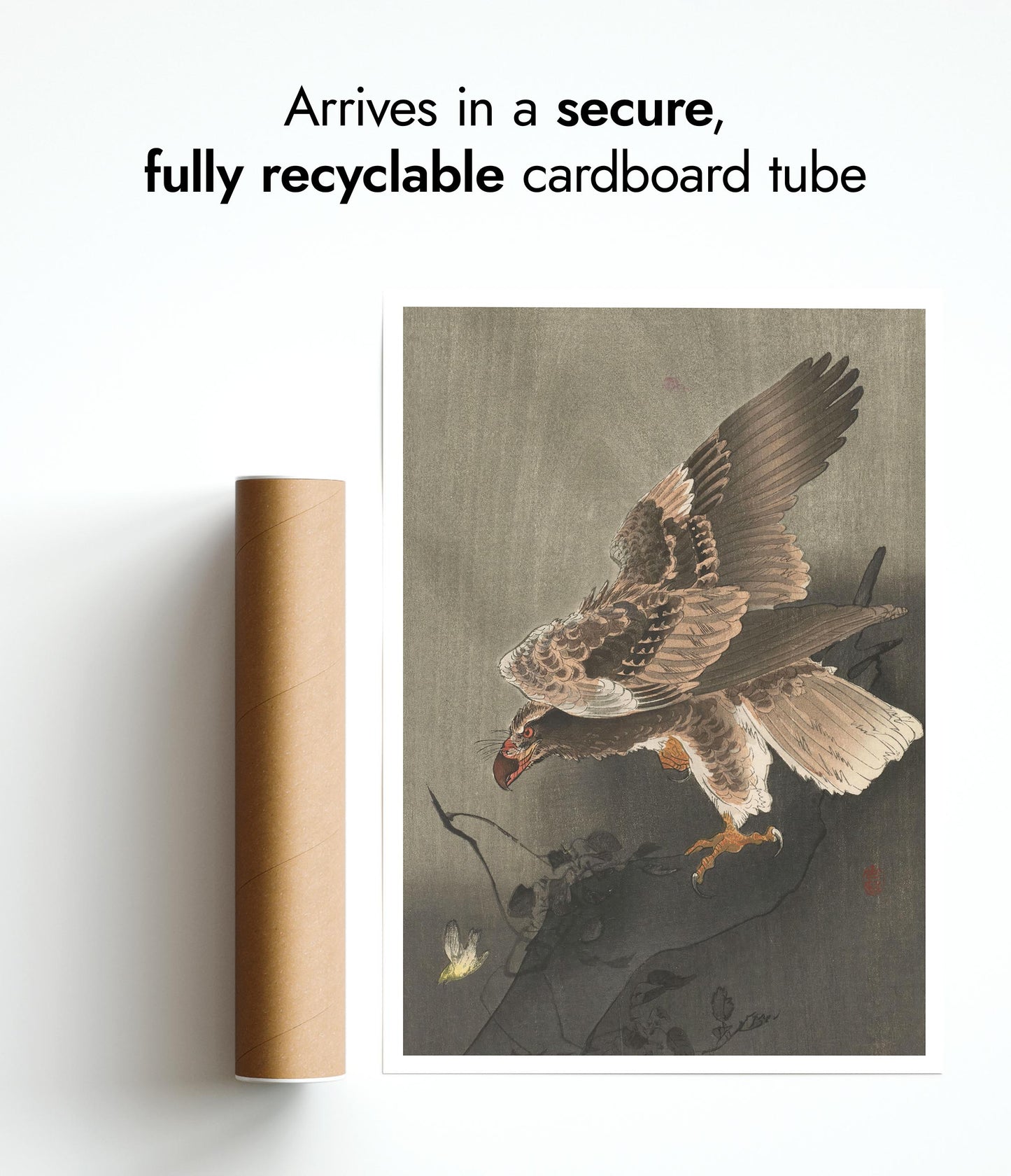 Eagle with Outspread Wings