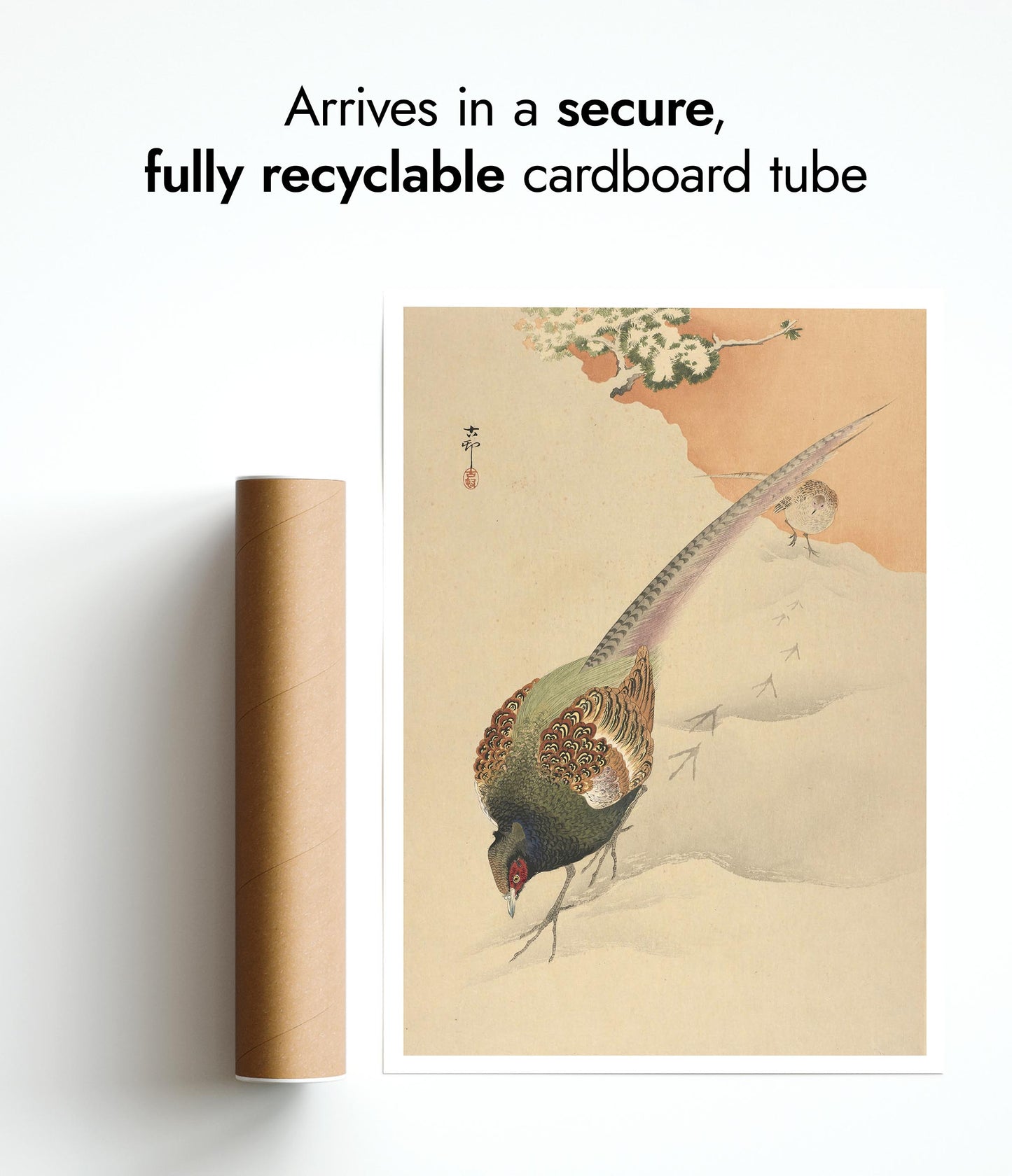 Twee fazanten in de sneeuw