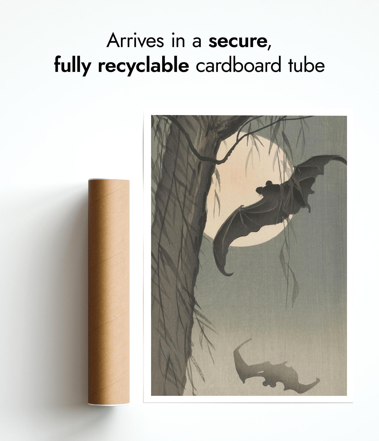 Chauves-souris & Pleine Lune