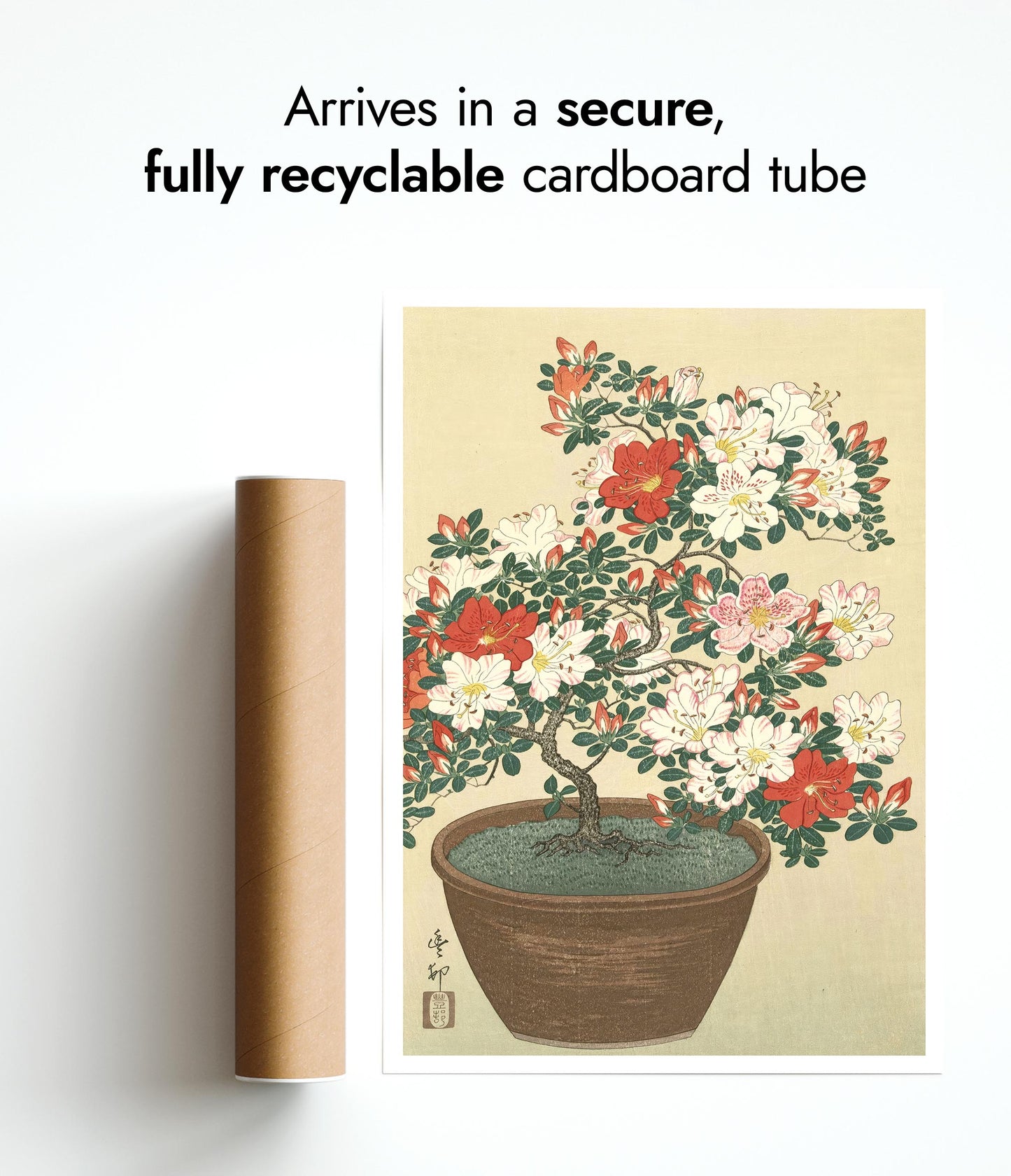 Blühende Azalee im braunen Topf