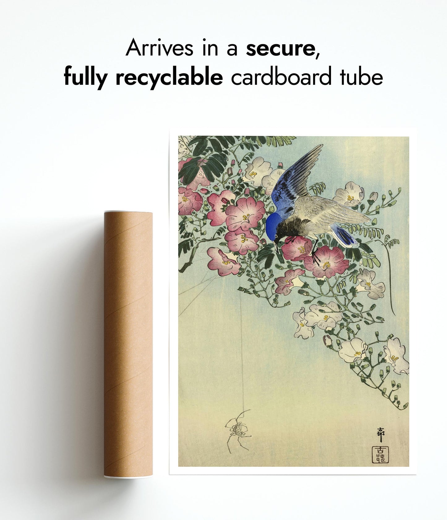 Fågel percherad på blommande växt, iakttar en spindel