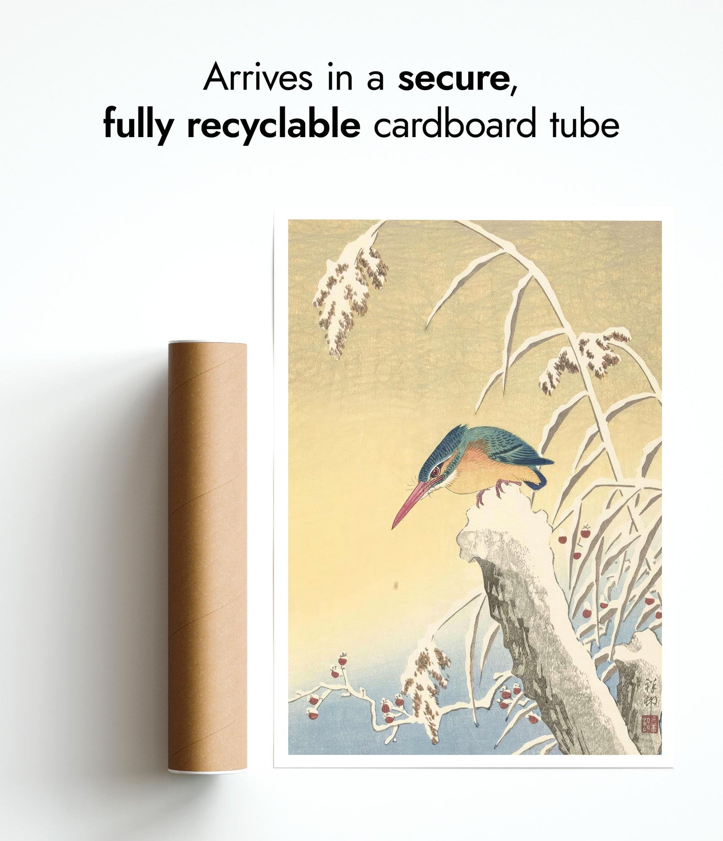 Kungsfiskare i snön