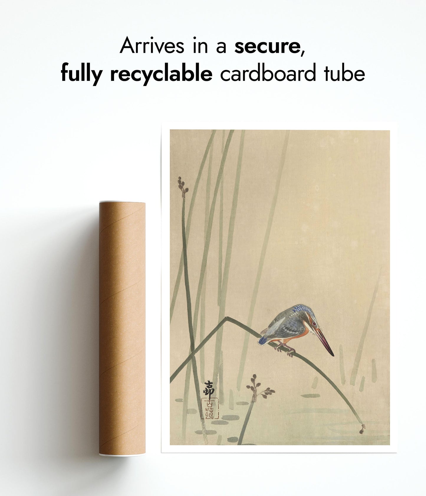 Martin-pêcheur perché sur une tige d'eau