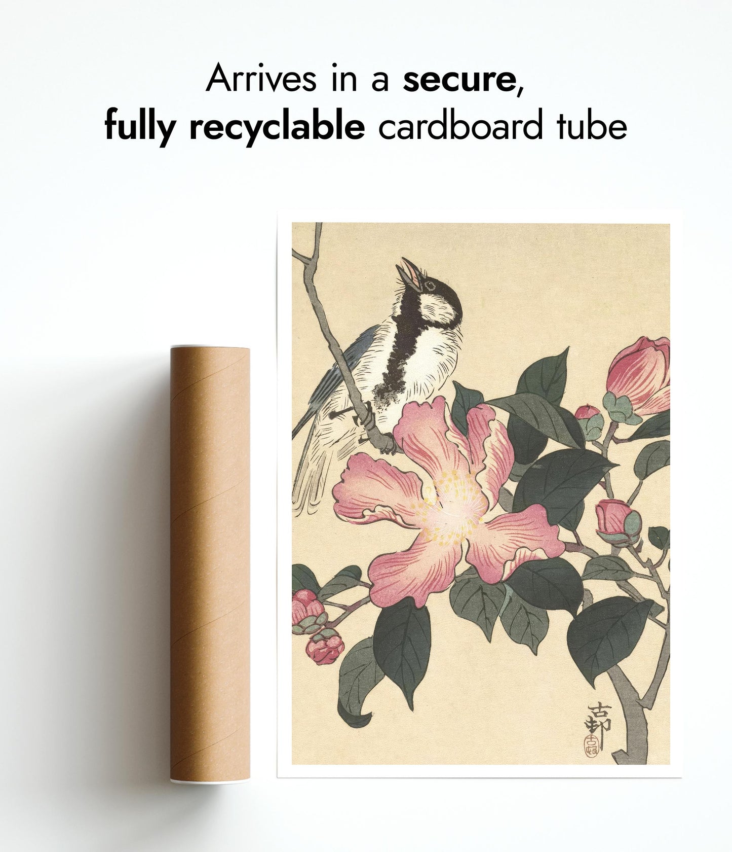 Talgoxe på gren med rosa blommor