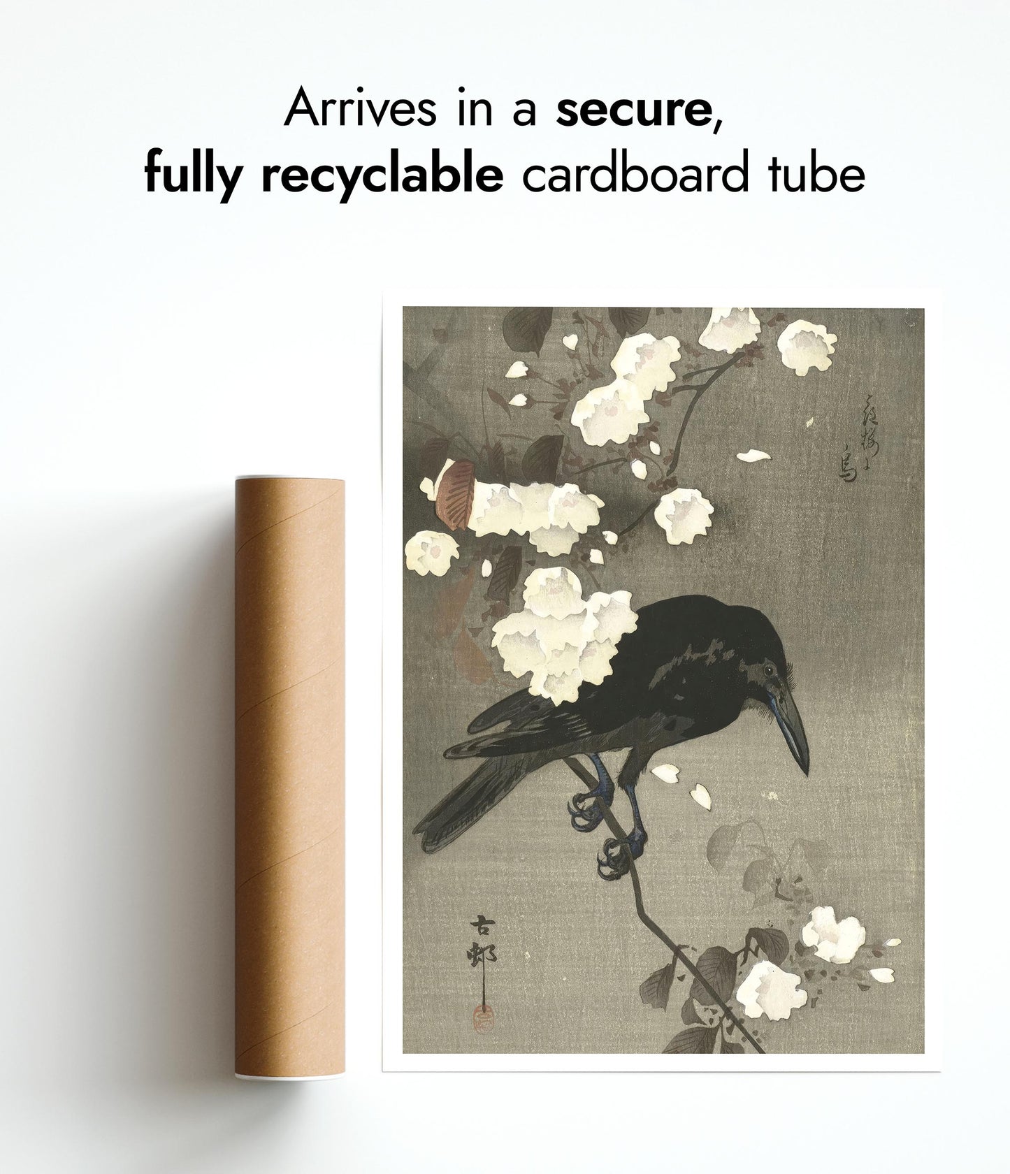 Krähe mit Kirschblüte