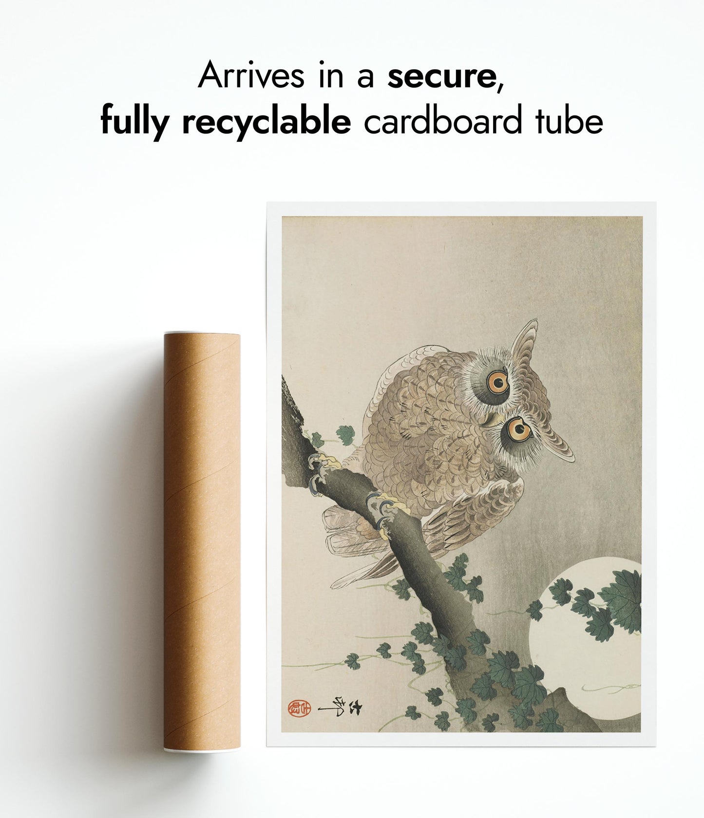 Uil die op een tak zit en volle maan