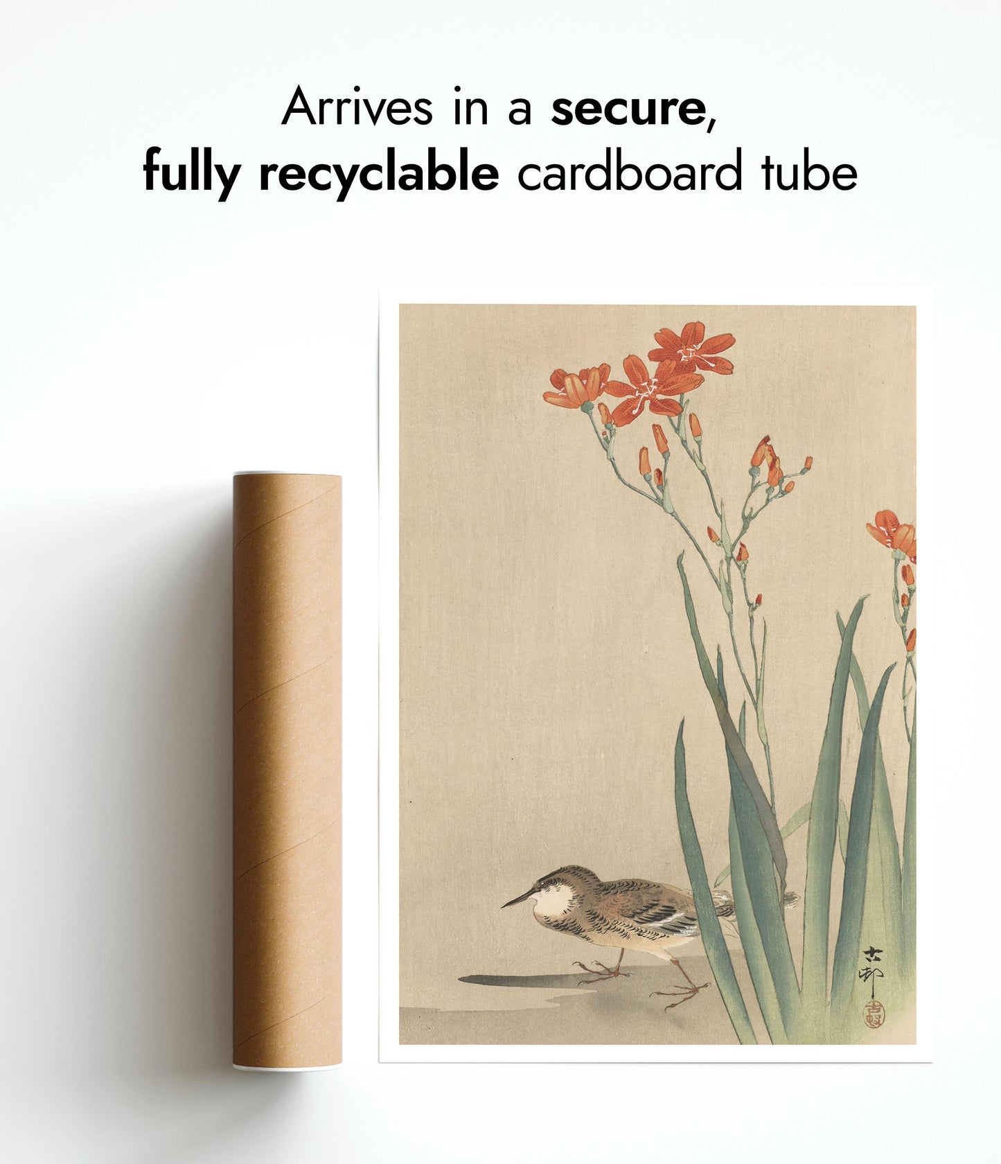 Pipit & Crocosmia Aurea