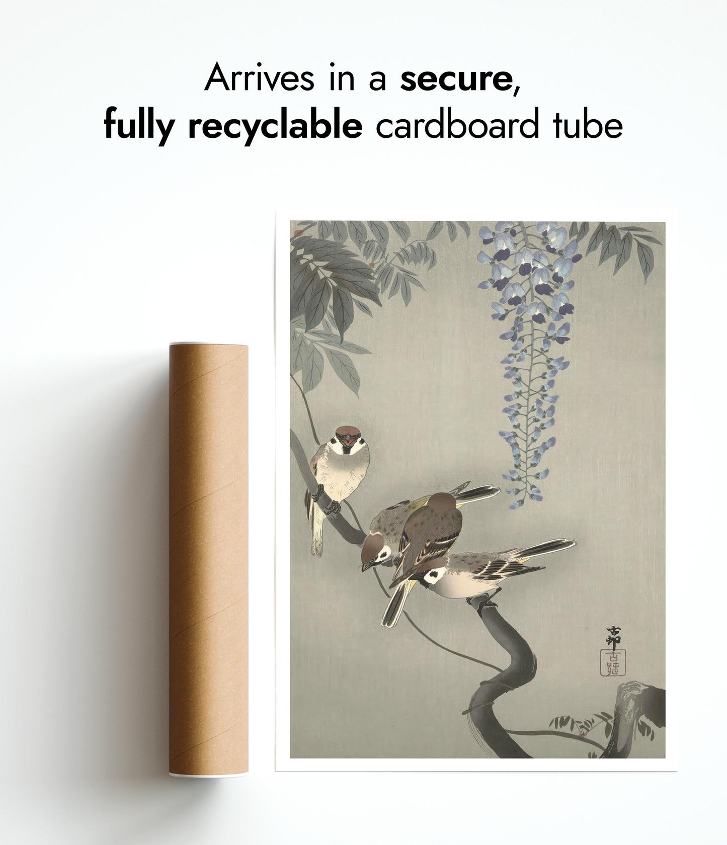 Tree Sparrows near Wisteria