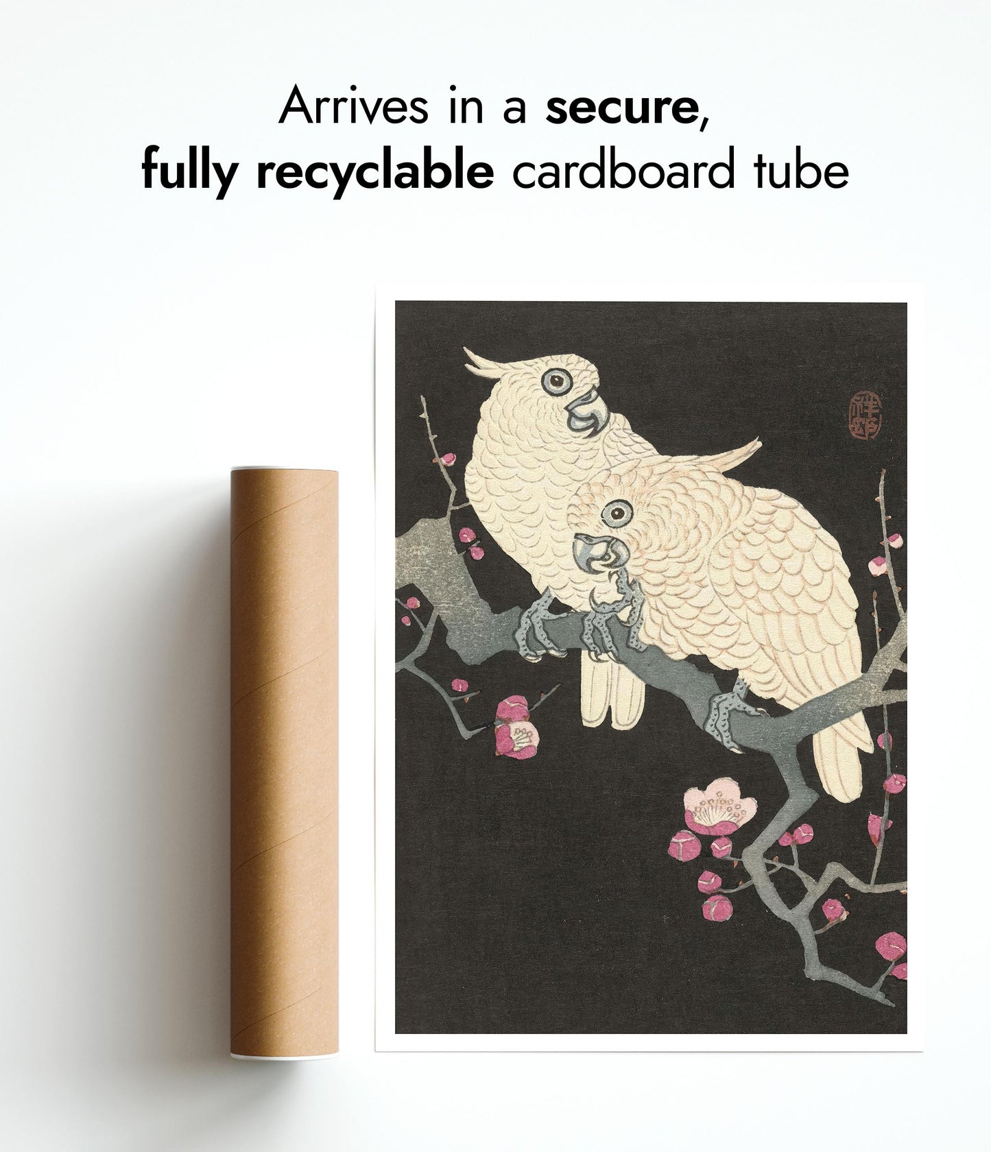 Twee kaketoes op een tak met pruimenbloesem