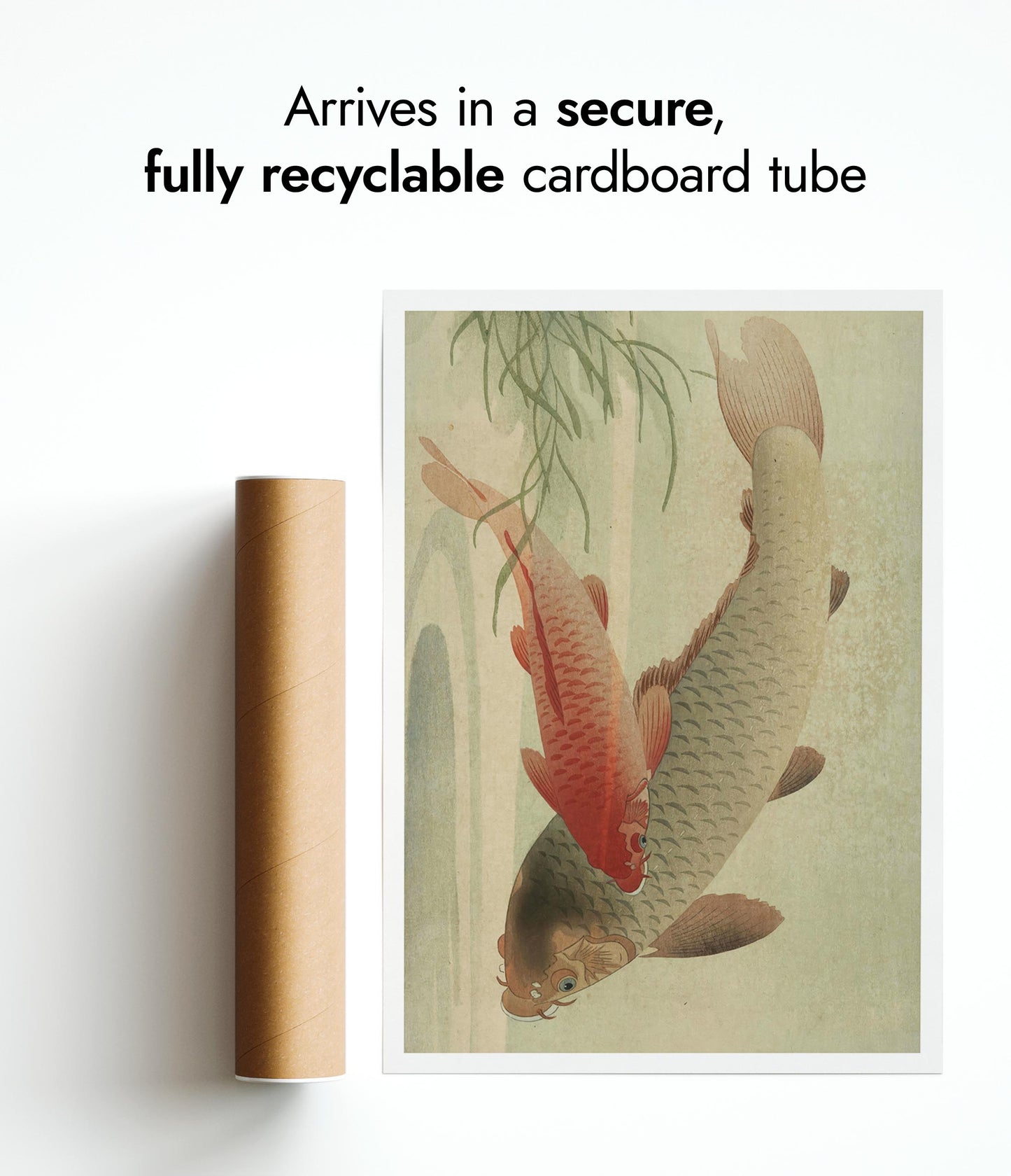 Twee karpers en waterplanten