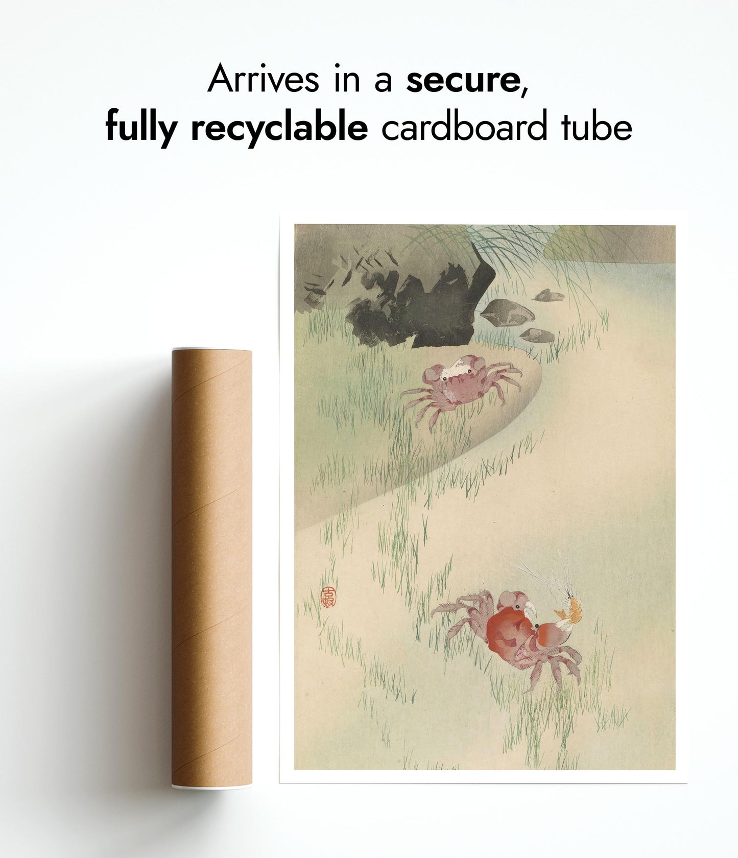 Twee krabben, riet erachter