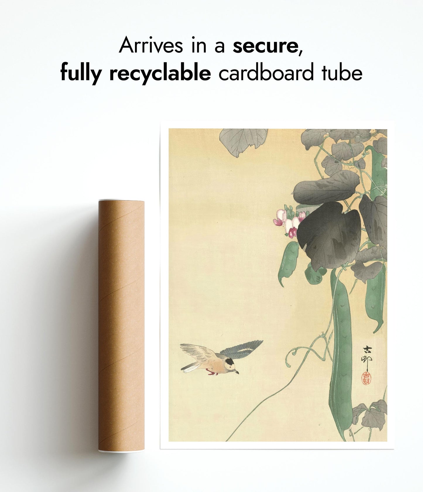 Vogel bij bloeiende bonenplant