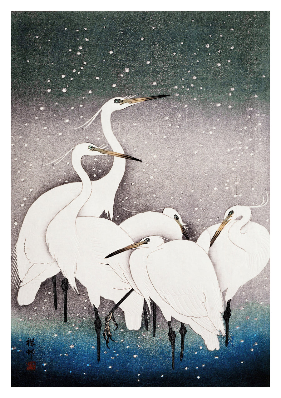 Garnalenreigers in de sneeuw - Print only