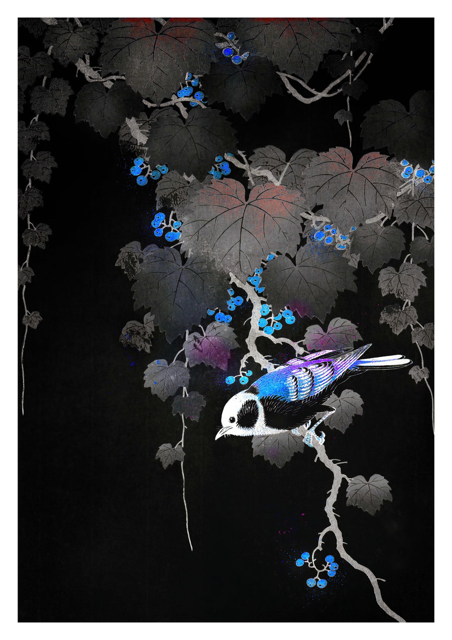 Great Tit on a Pulowina Branch - Print only