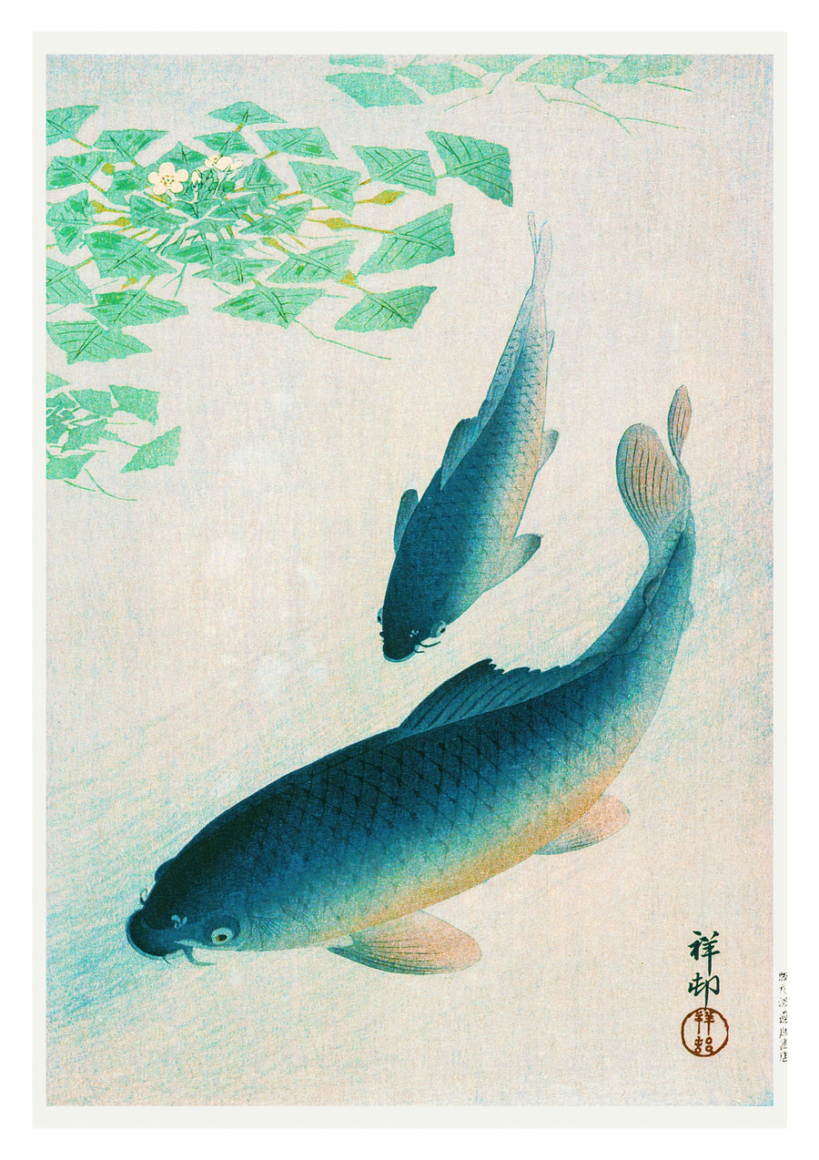 Blue Koi Fish - Print only