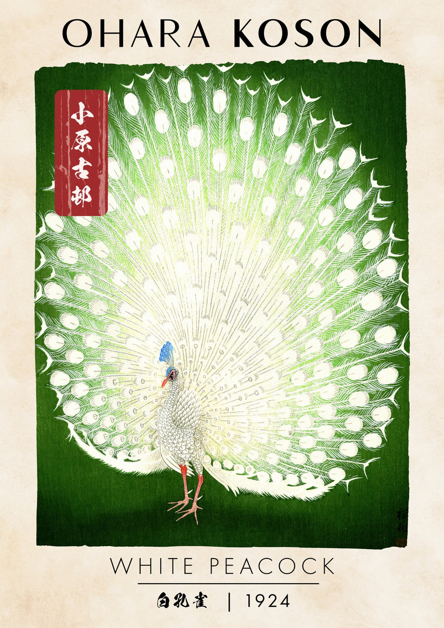 White Peacock - Print only