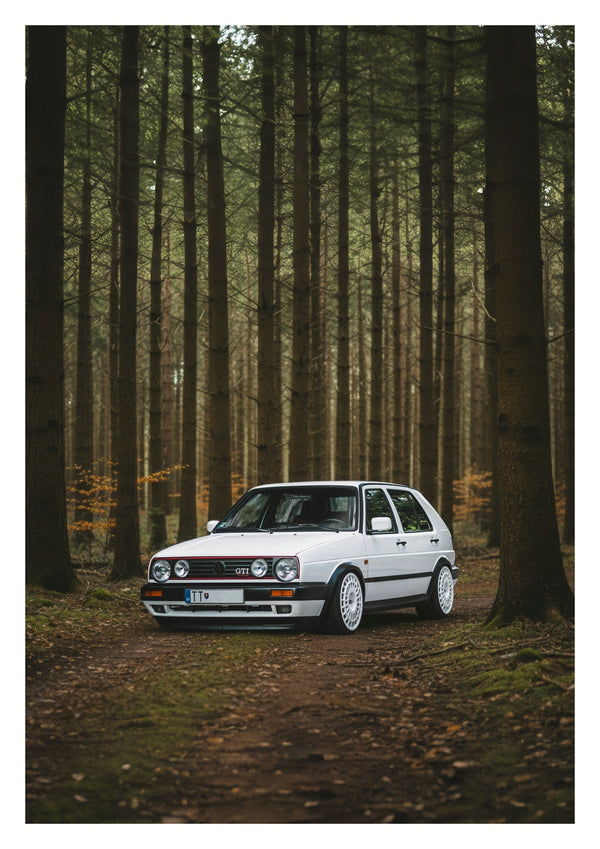 Dans la forêt