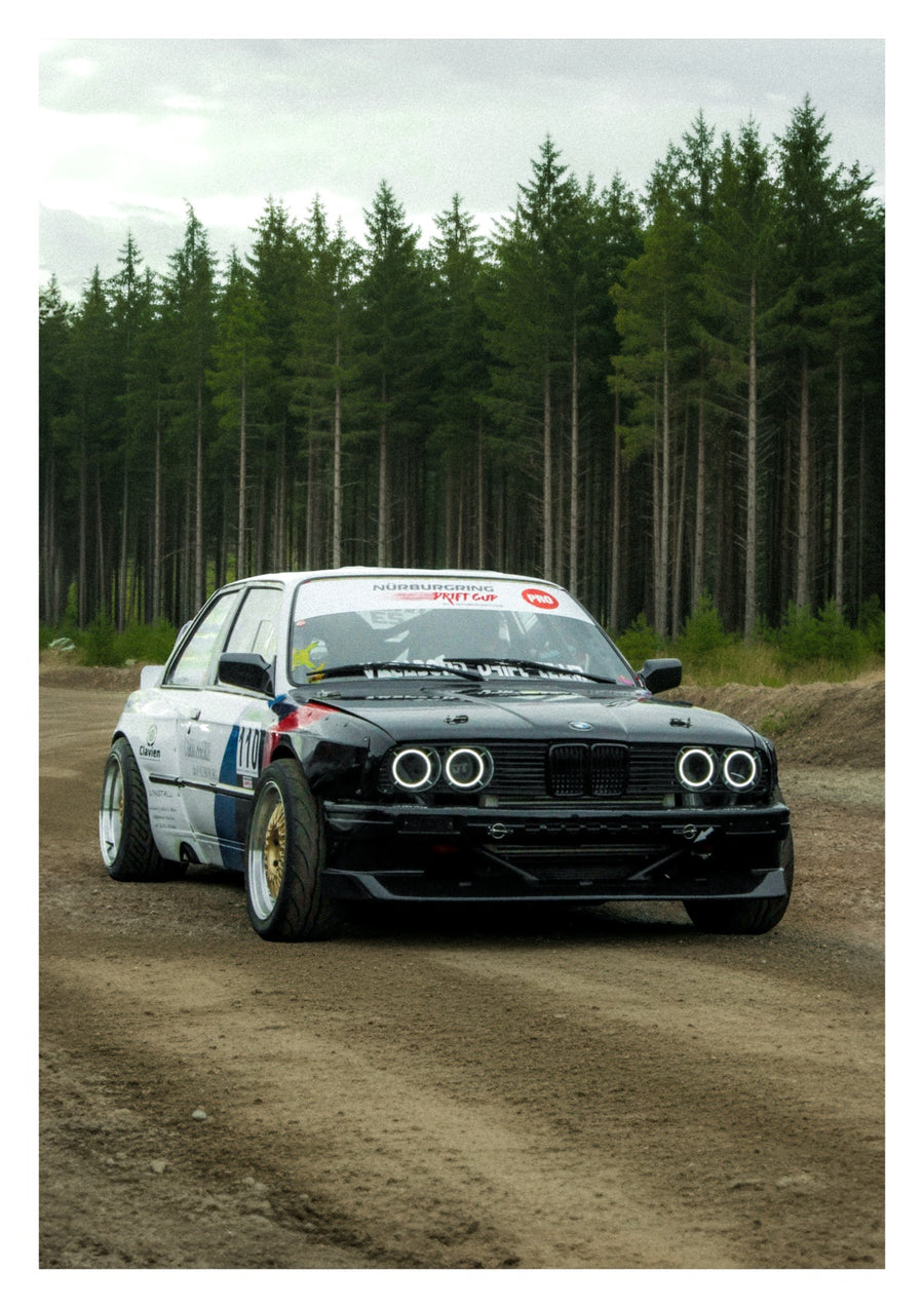 Drift in the Woods - Print only