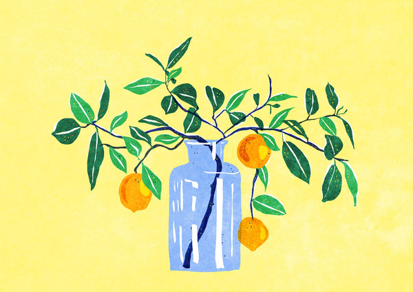 Orange Tree
