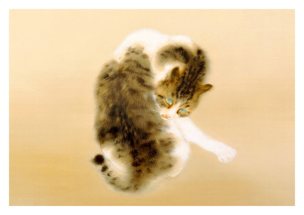 Chat tigré