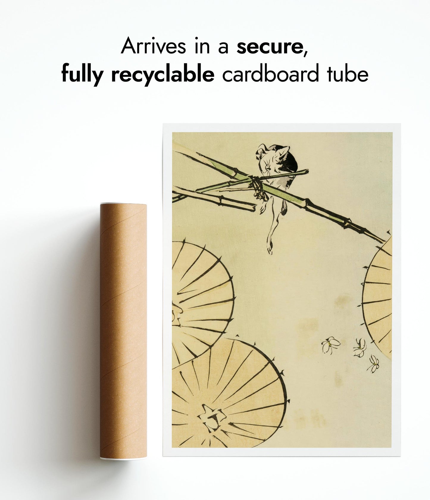 Cat, Umbrellas & Butterflies