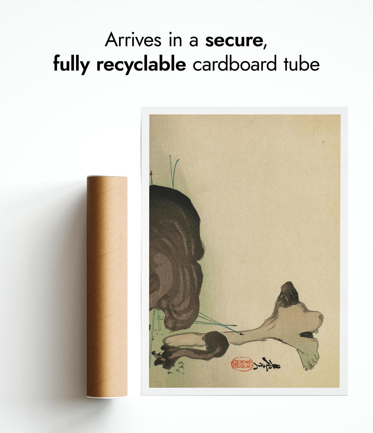 Fungi & Pine Needles