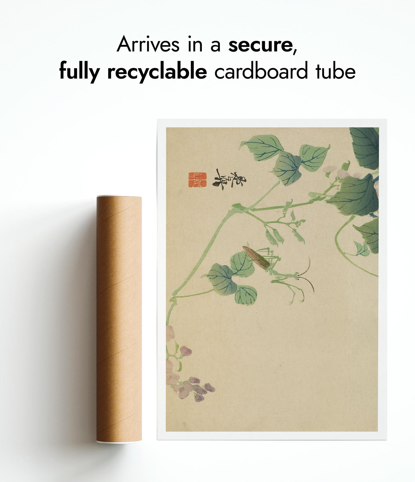 Praying Mantis & Sweet Pea