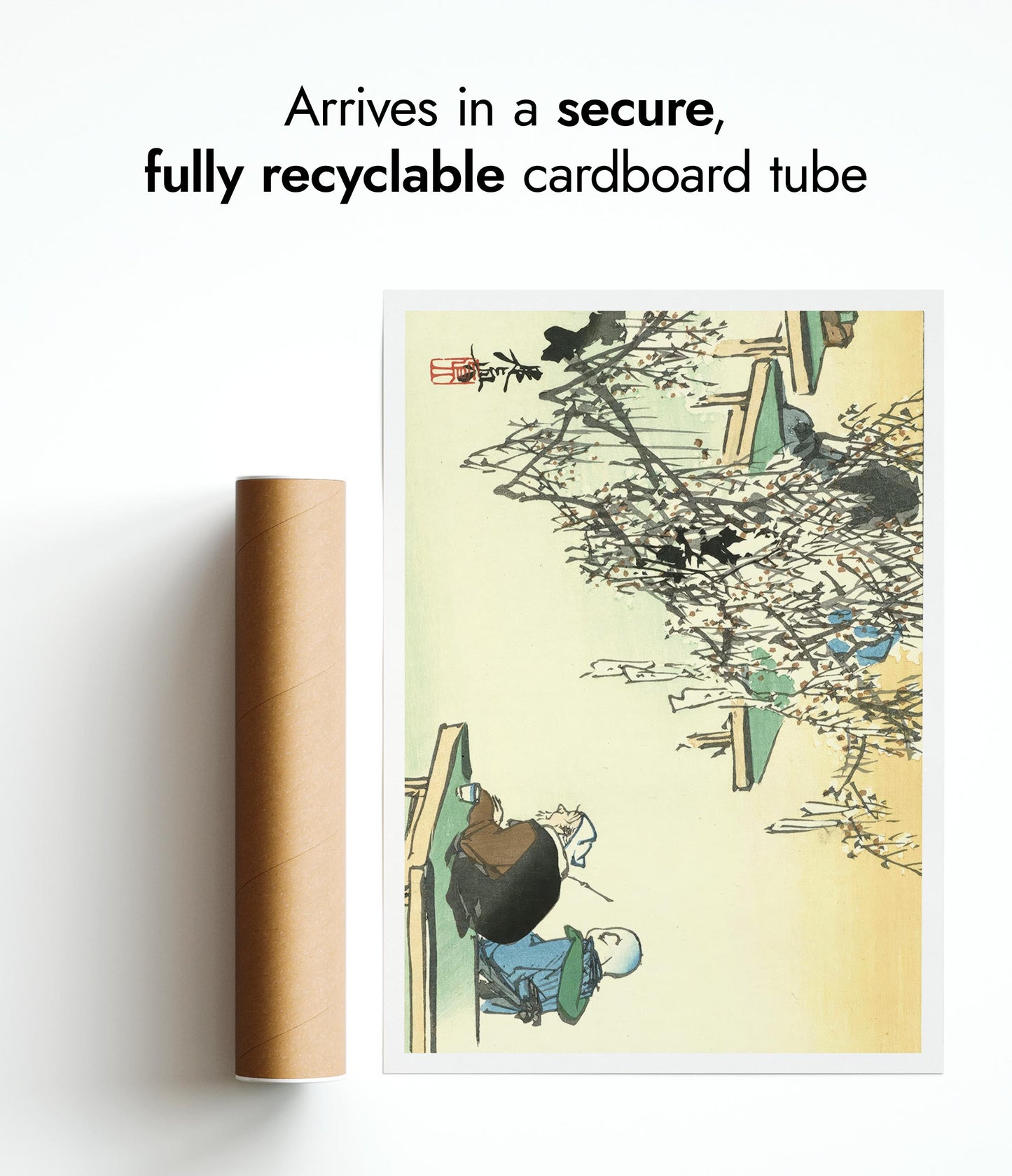 Admiring Plum Blossoms