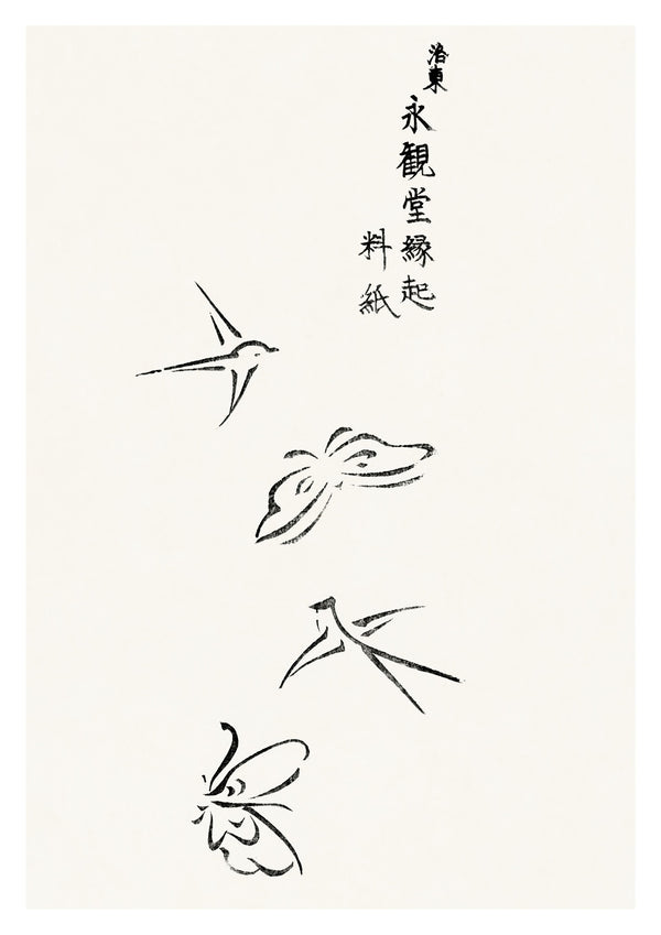Butterflies & Birds