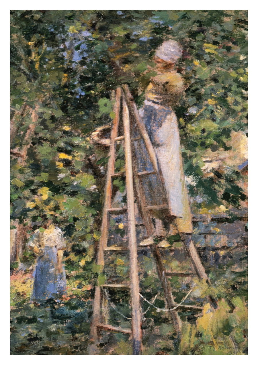Pruimen Plukken - Print only