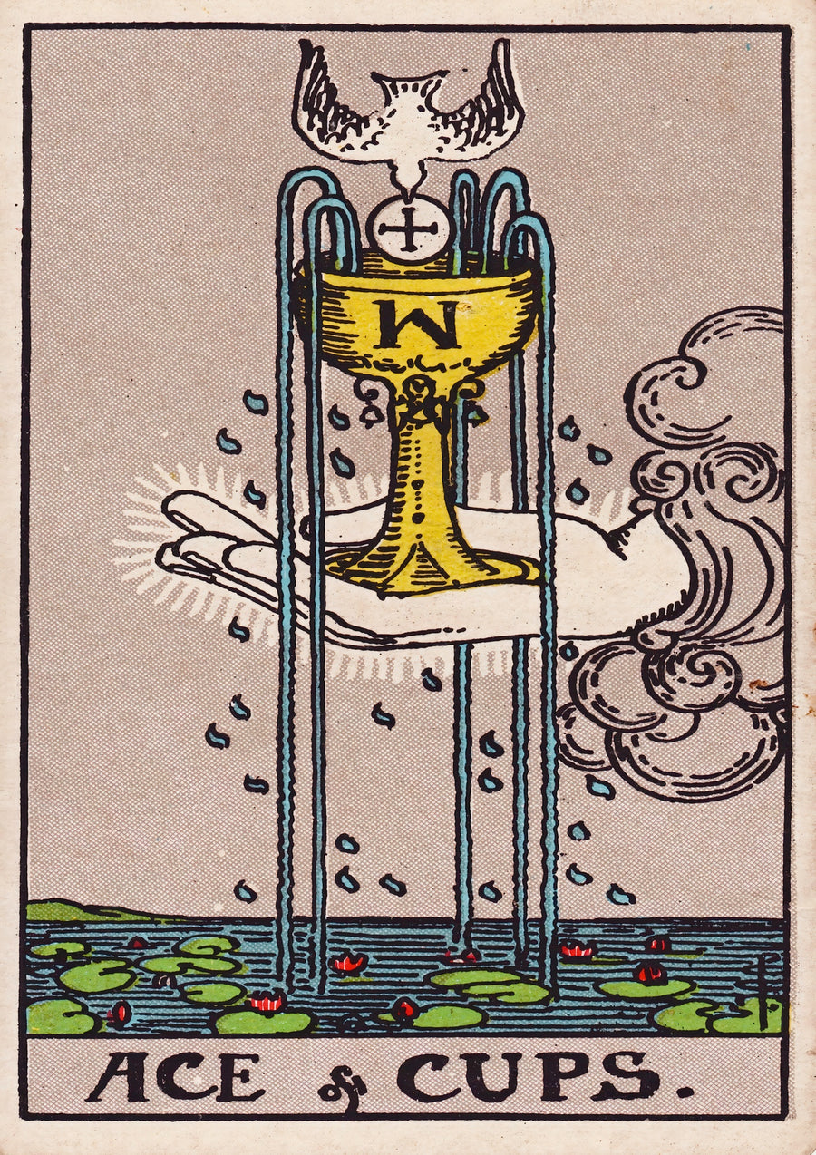 Ace of Cups - Print only