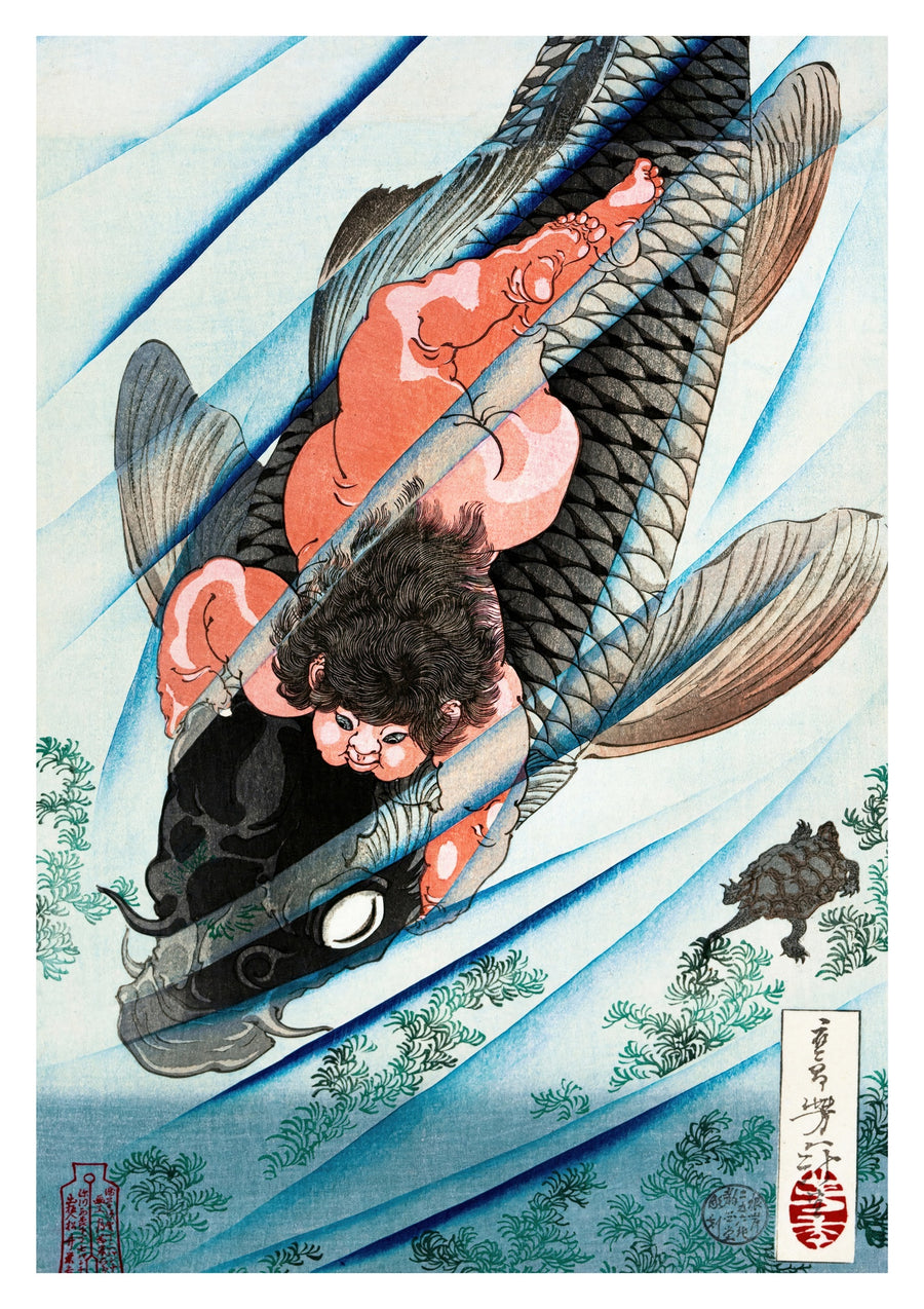 Kintaro grijpt de karper - Print only