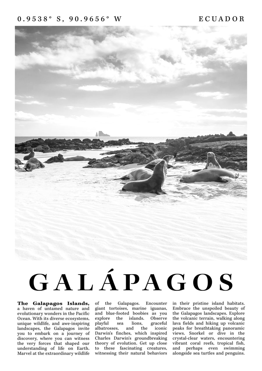 Galápagos - Équateur - Print only
