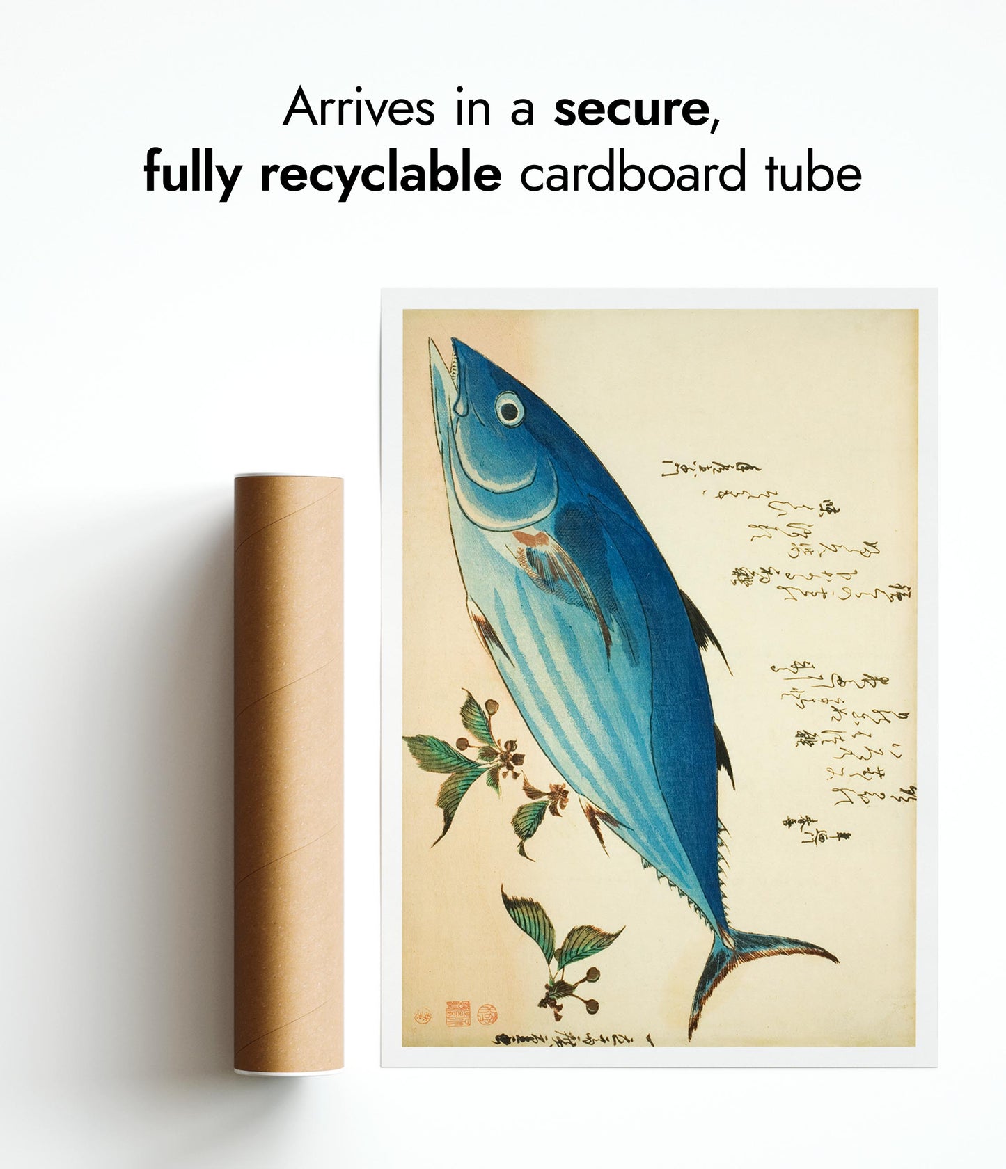 Bonito and Saxifrage, from an Untitled Series of Fish