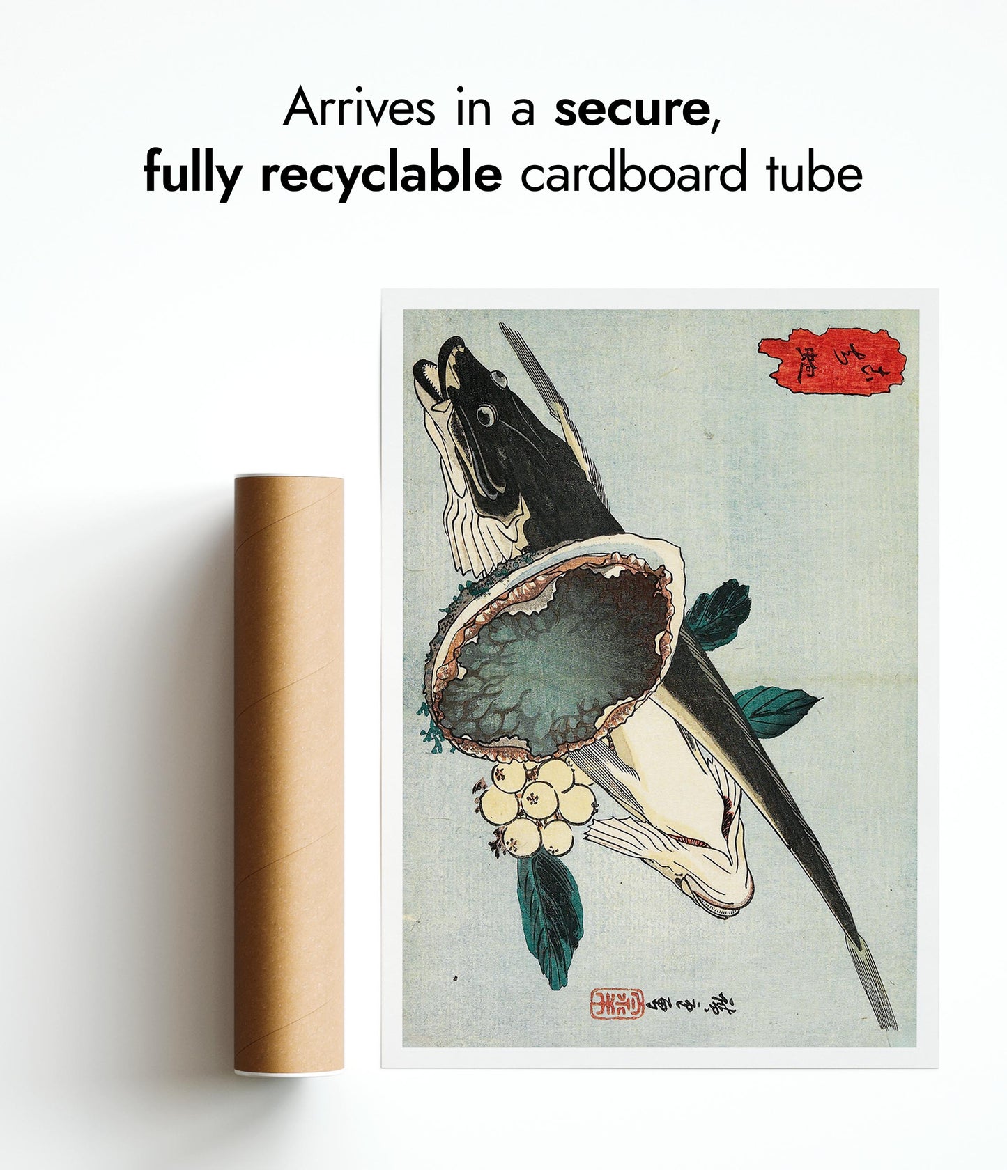 Flathead och Abalone