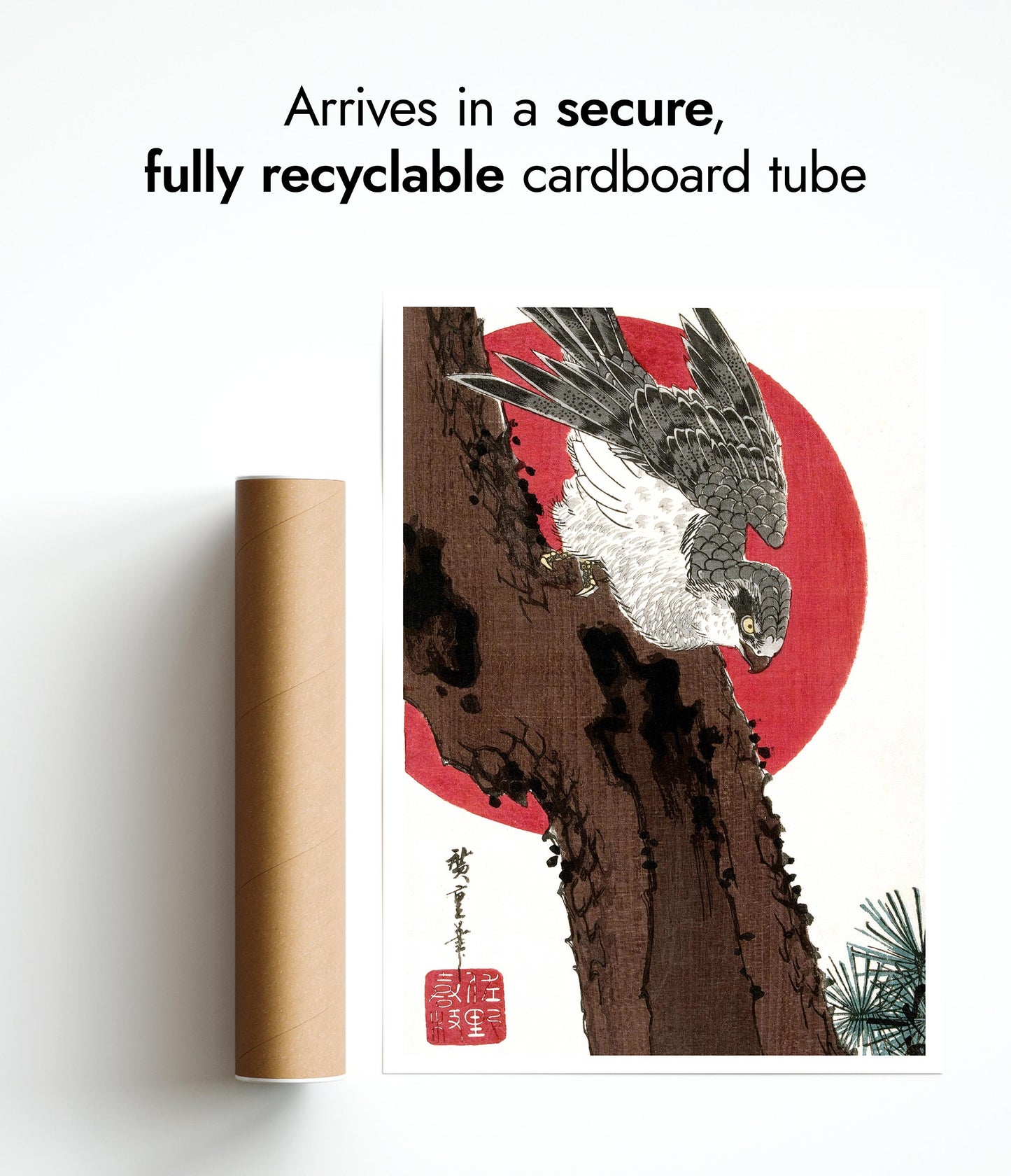 Habicht & Rote Sonne