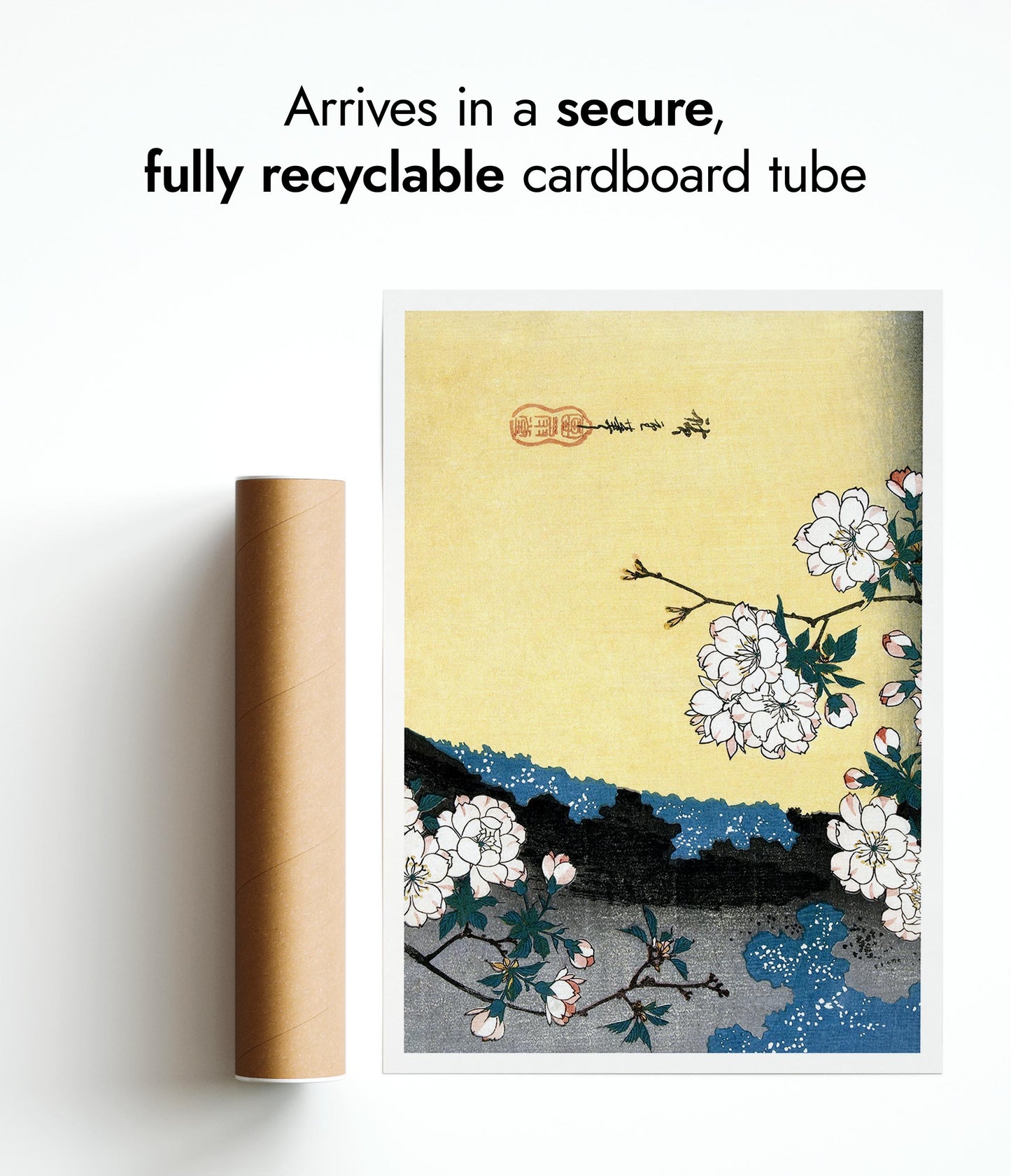 Japanese Cherry Blossoms