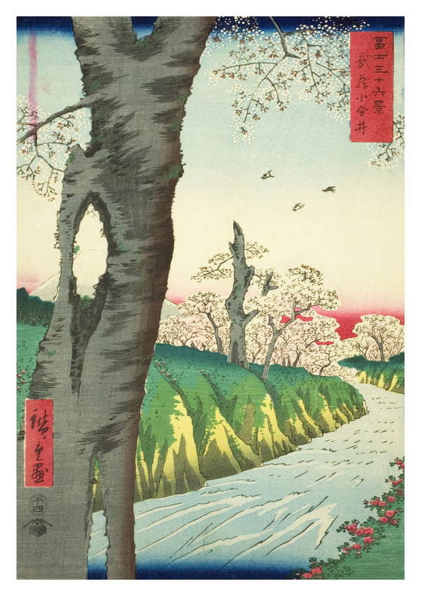 Koganei in Musashi Province