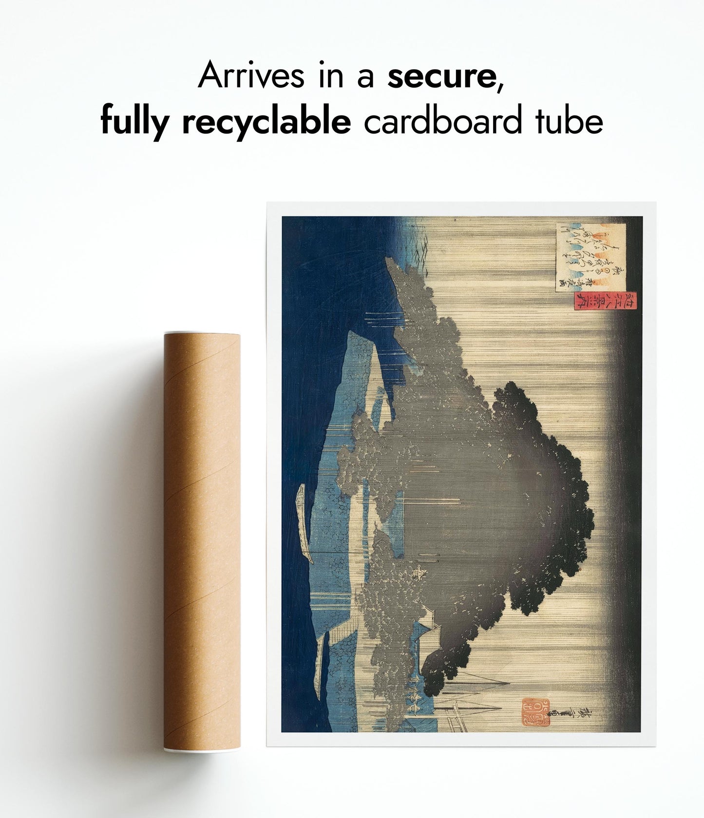 Evening Rain on a Pine Tree