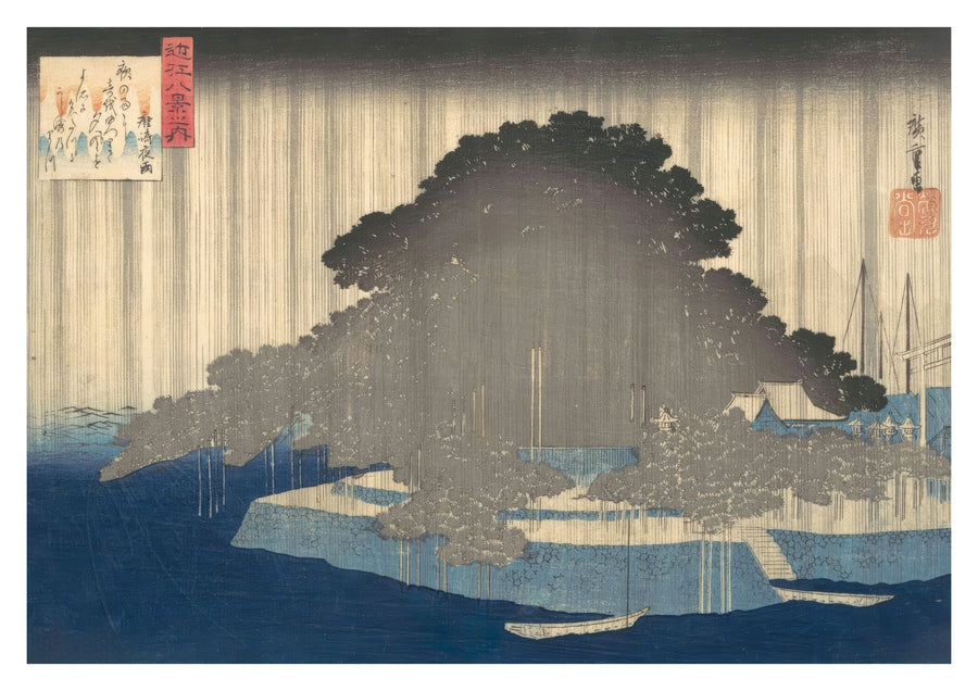 Evening Rain on a Pine Tree - Print only