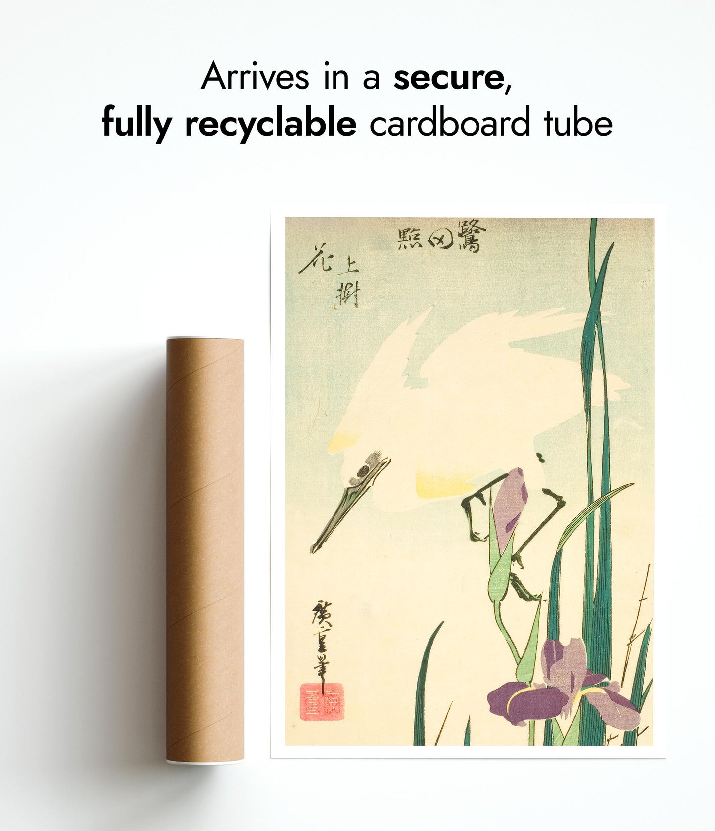 Héron blanc et iris