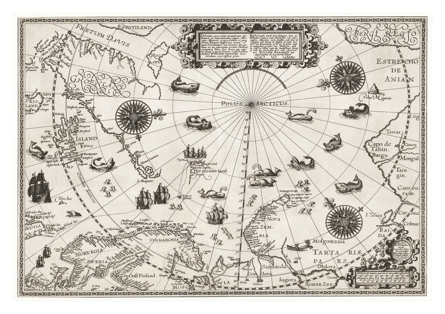 Kaart van de Noordpool - Print only